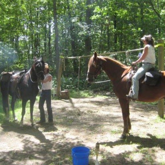wildwestjan